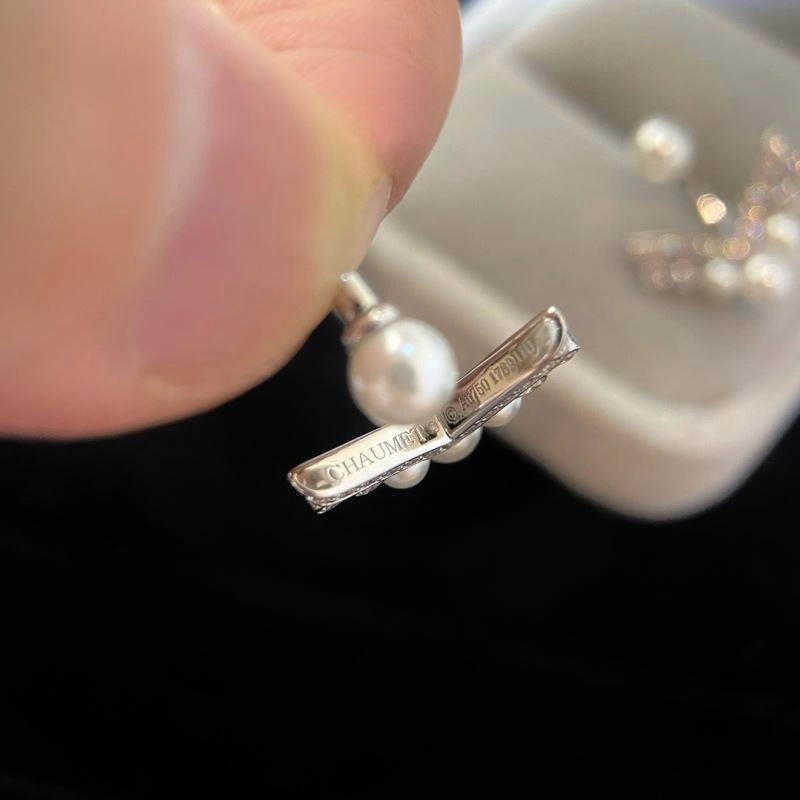Packable Celine Earrings 218609