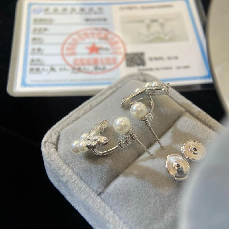 Packable Celine Earrings 218609