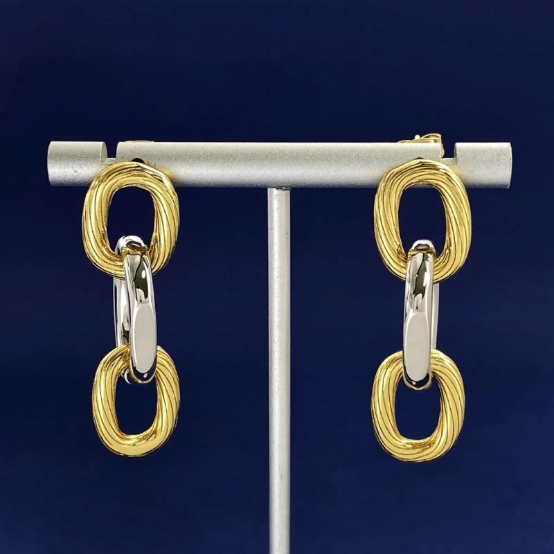 Celine Earrings Practical 218756
