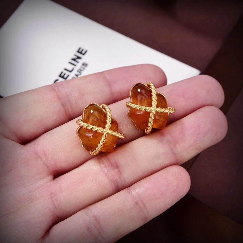 Functional Celine Earrings 218759