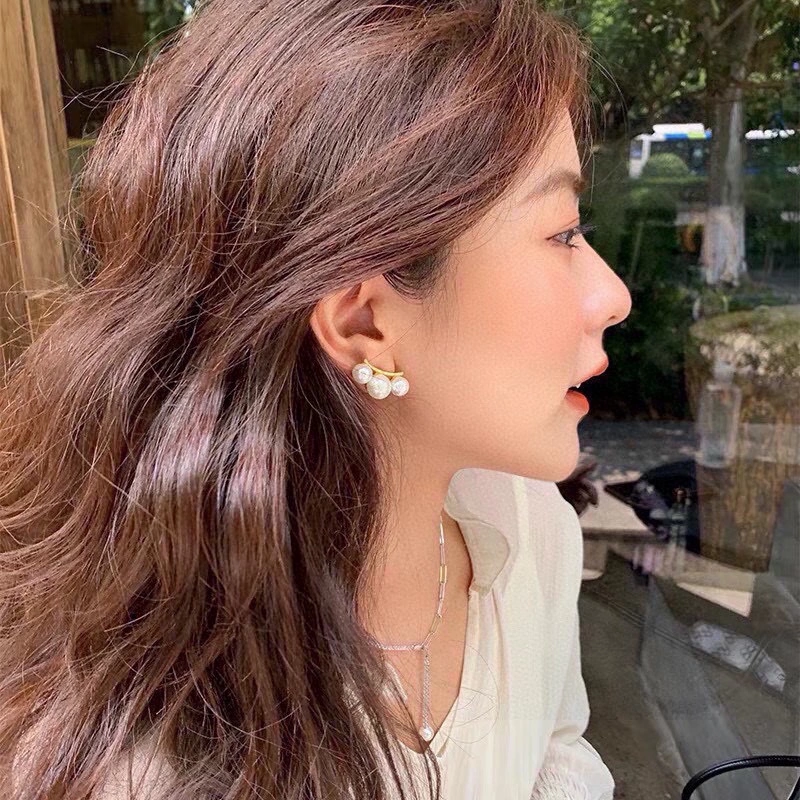 Celine Earrings Upgraded 218731