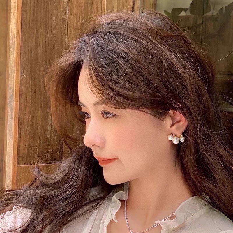 Celine Earrings Upgraded 218731