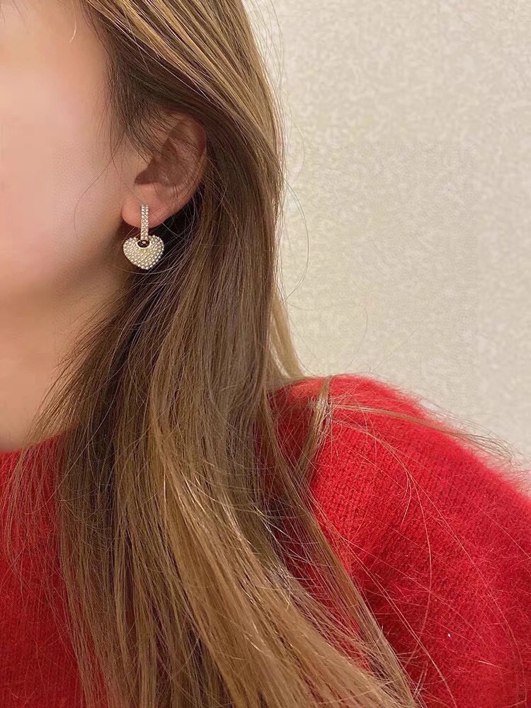Attractive Celine Earrings 218705