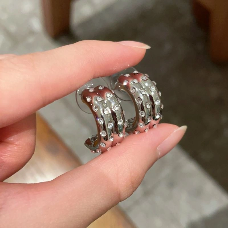Celine Earrings GoAnywhere 218571