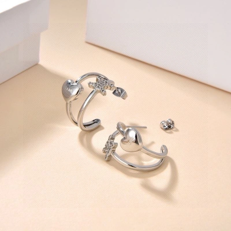 Casual Celine Earrings 218634