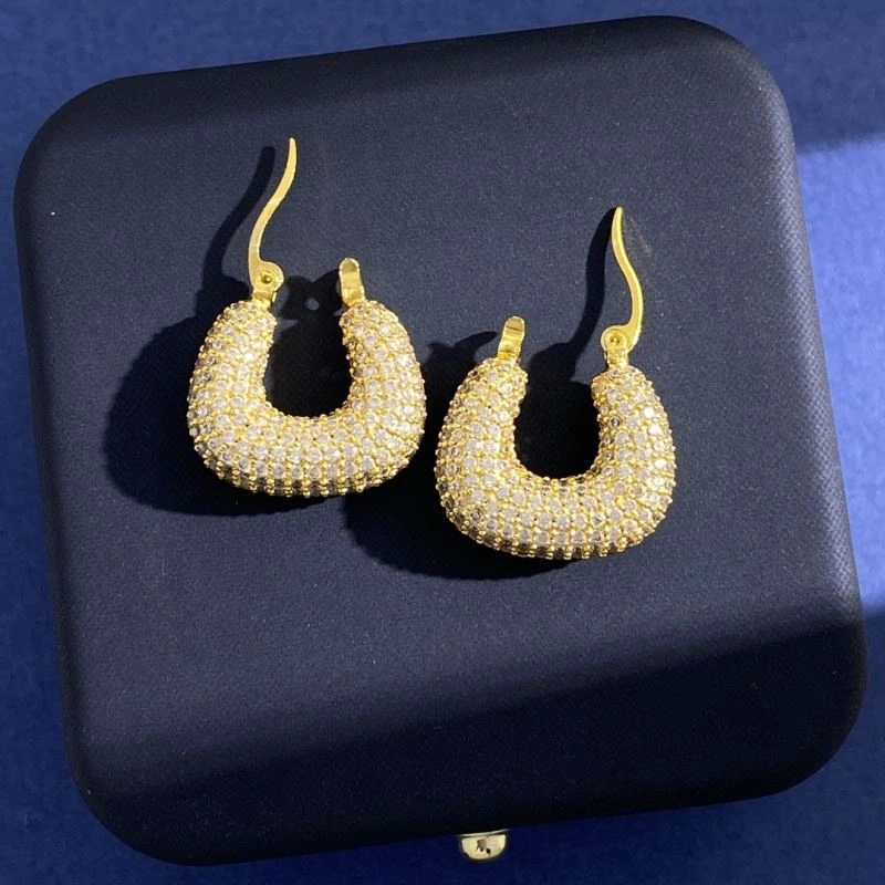 Celine Earrings Upgraded 218497