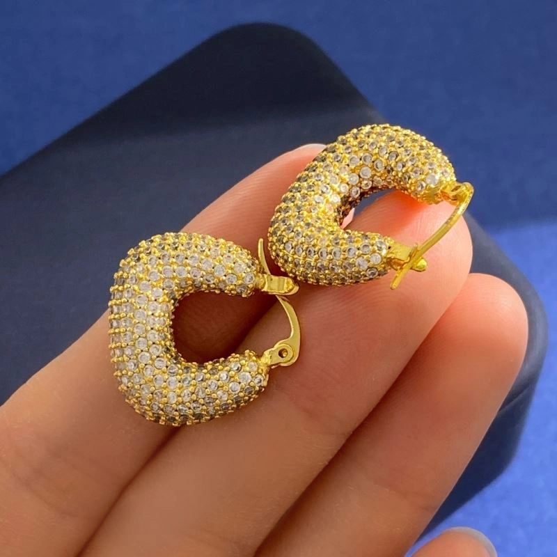 Celine Earrings Upgraded 218497