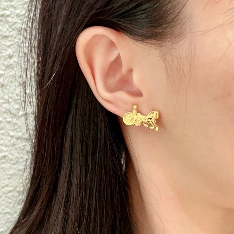 MoistureWicking Celine Earrings 218477