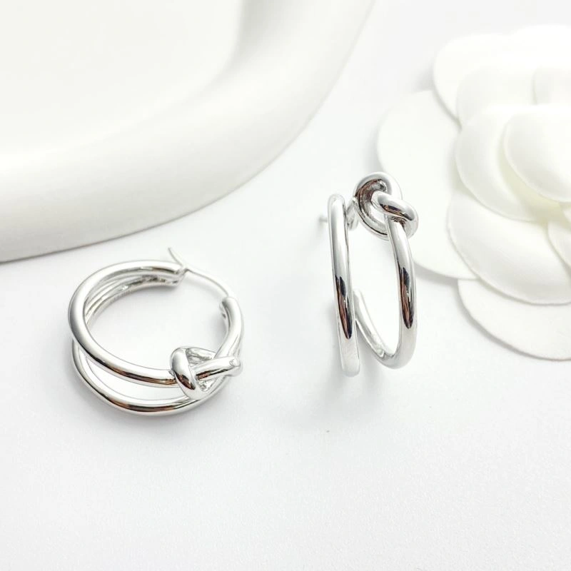 Celine Earrings Durable 218403