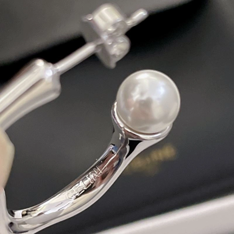 Sleek Celine Earrings 218390