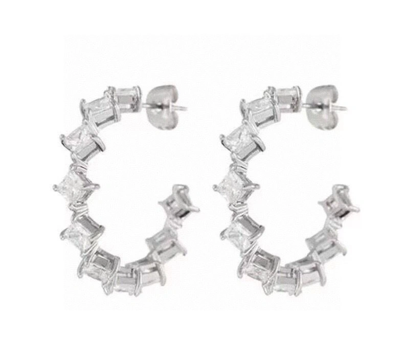 WaterResistant Celine Earrings 218410