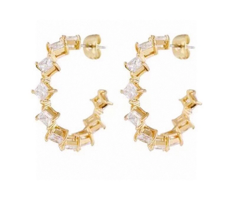 WaterResistant Celine Earrings 218410
