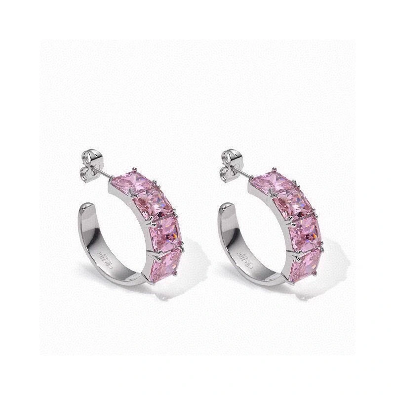 Celine Earrings Bold 218319