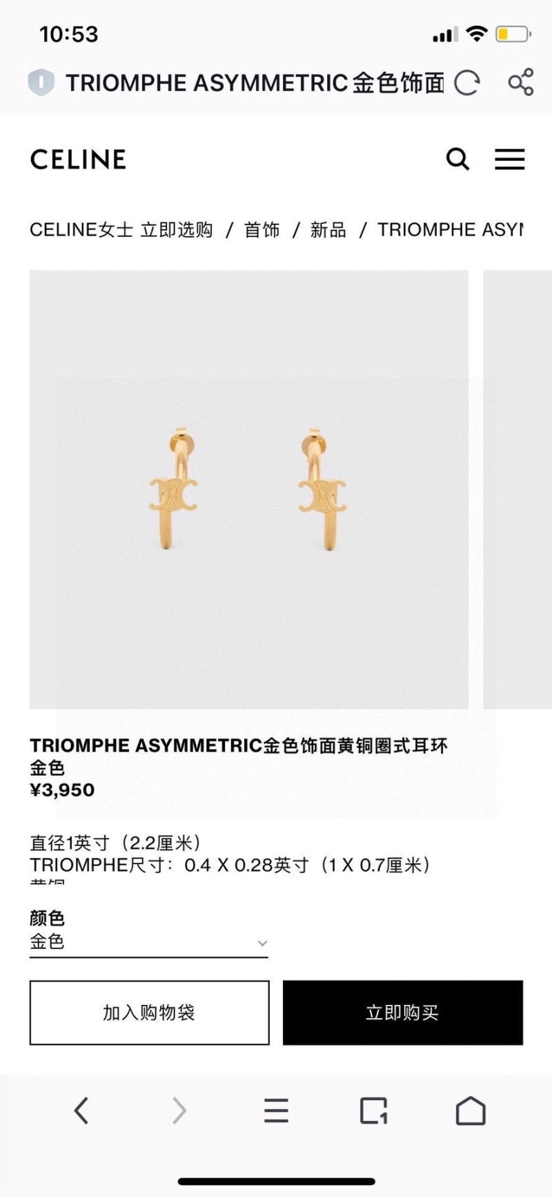 Celine Earrings SmoothTexture 218354