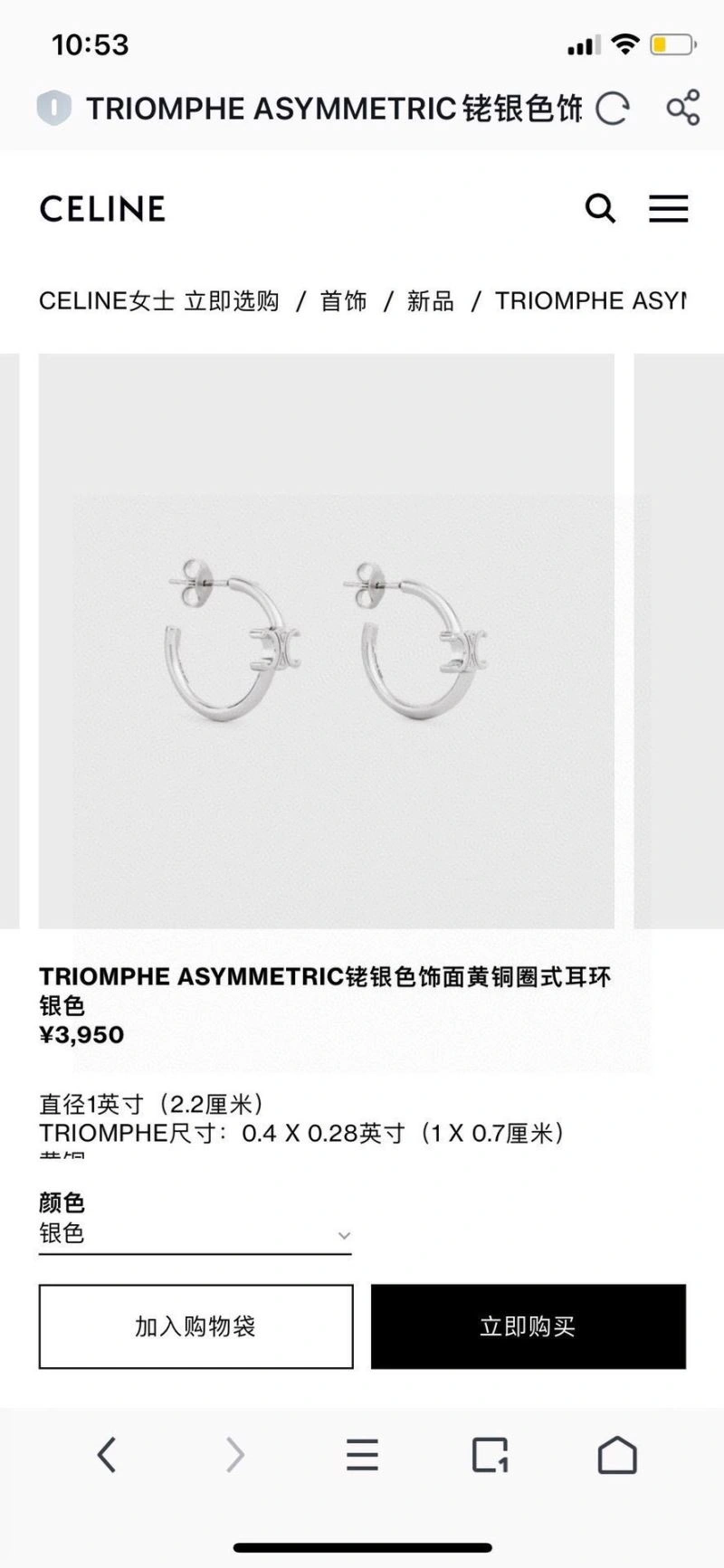 Celine Earrings SmoothTexture 218354