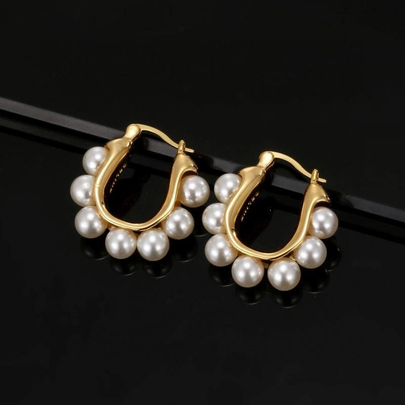 Practical Celine Earrings 218283