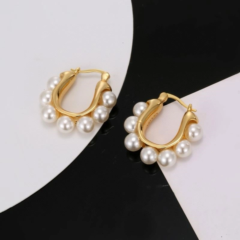 Practical Celine Earrings 218283