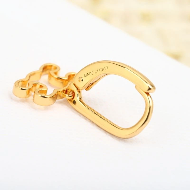 Celine Earrings FreshLook 218290