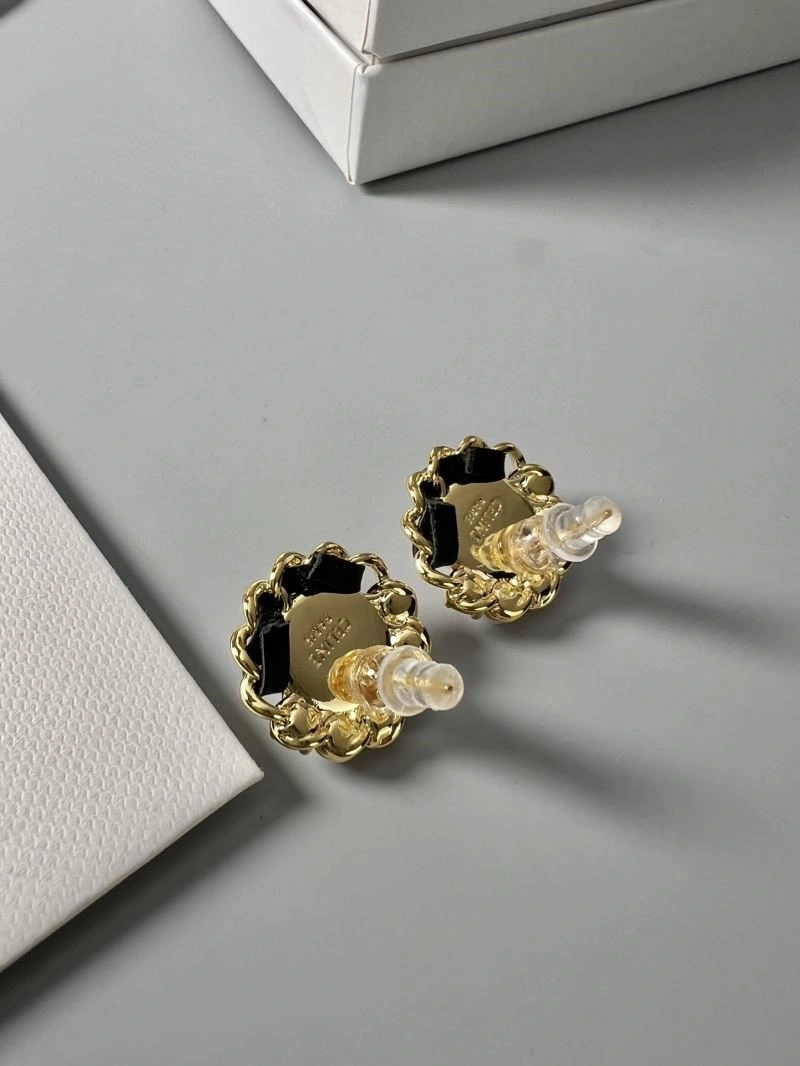 Attractive Celine Earrings 218266