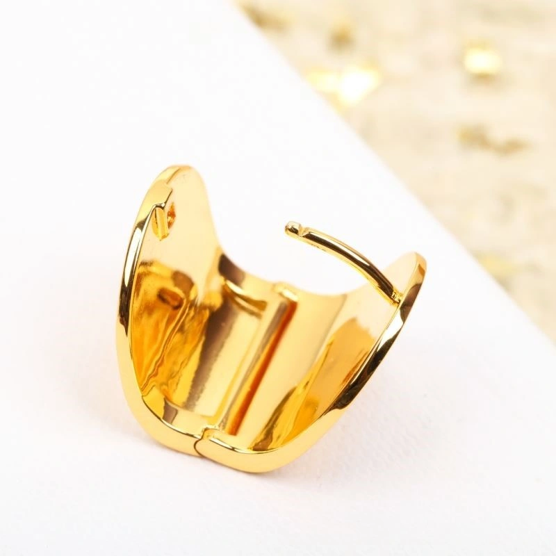 Celine Earrings Casual 218263