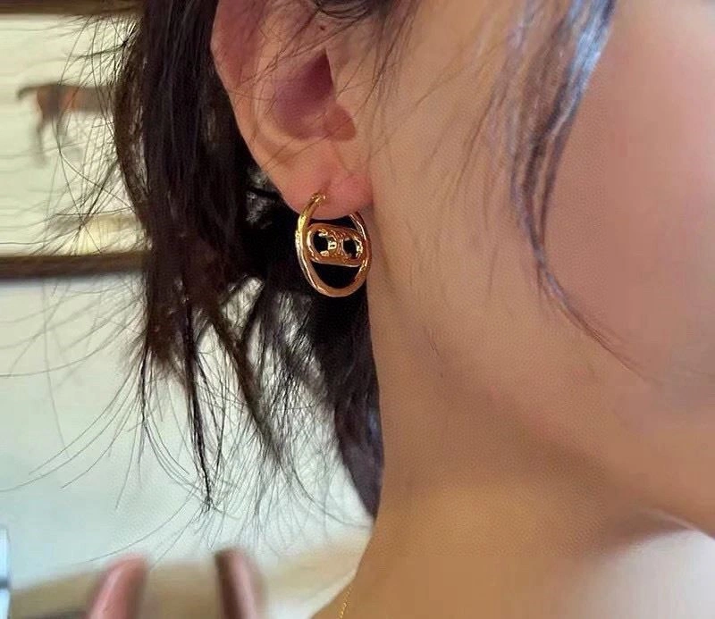 Celine Earrings Casual 218170