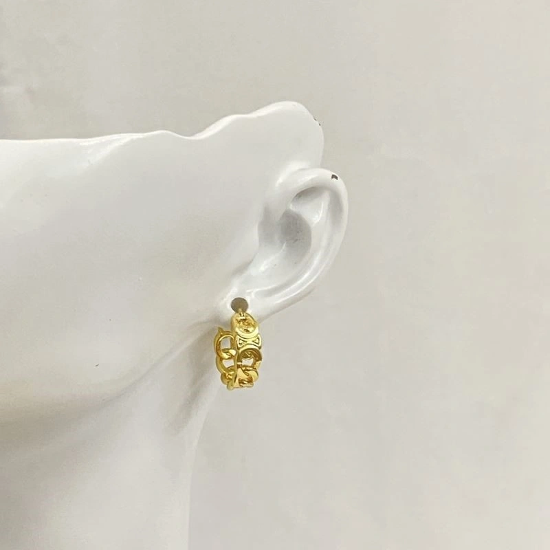 Colorful Celine Earrings 218150