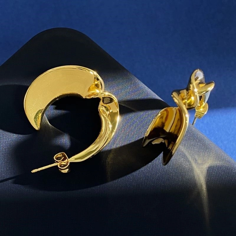 Celine Earrings Affordable 218146