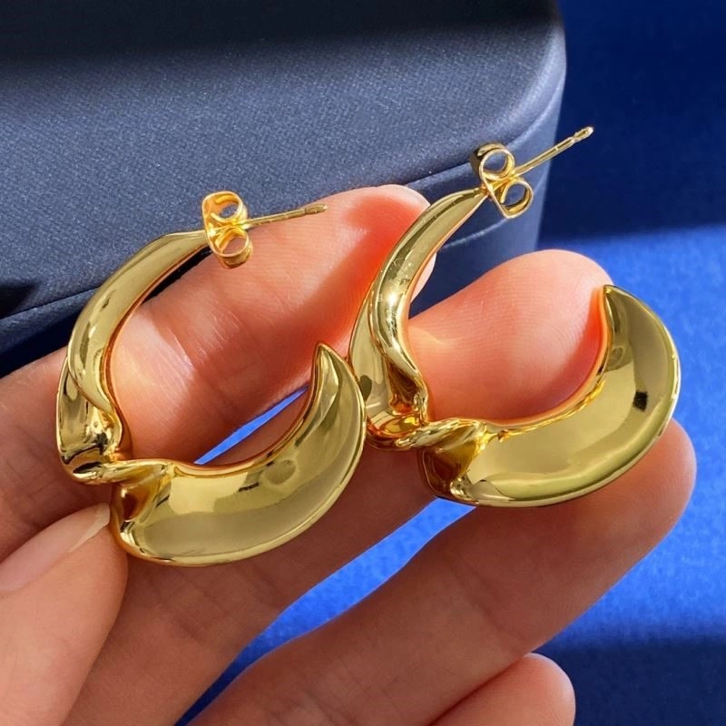 Celine Earrings Affordable 218146