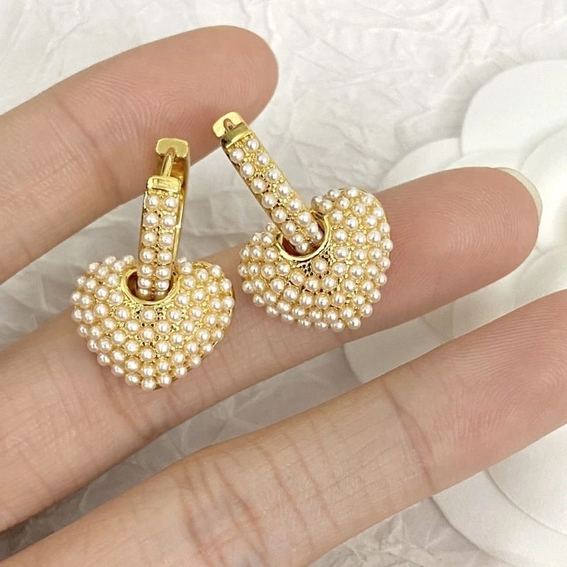 Popular Celine Earrings 218107