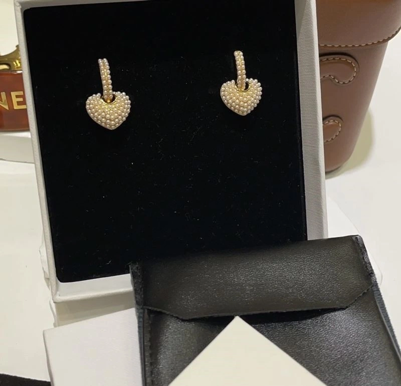 Popular Celine Earrings 218107