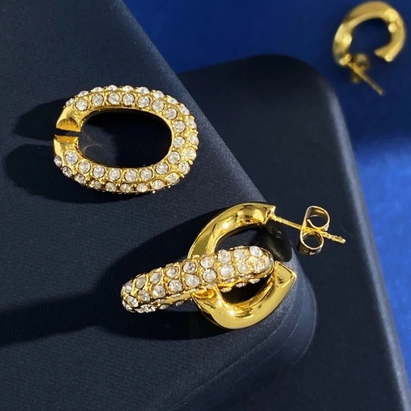 FlexibleFit Celine Earrings 218060