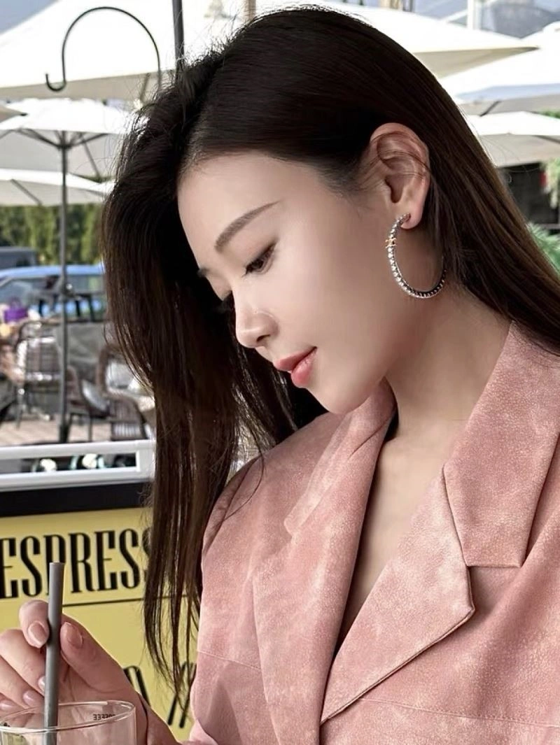 Celine Earrings Elegant 218033