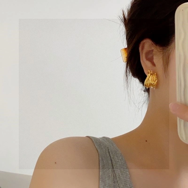 Celine Earrings Colorful 218011