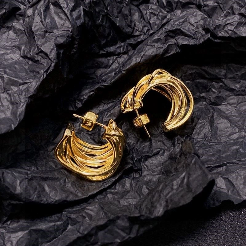 Celine Earrings Colorful 218011