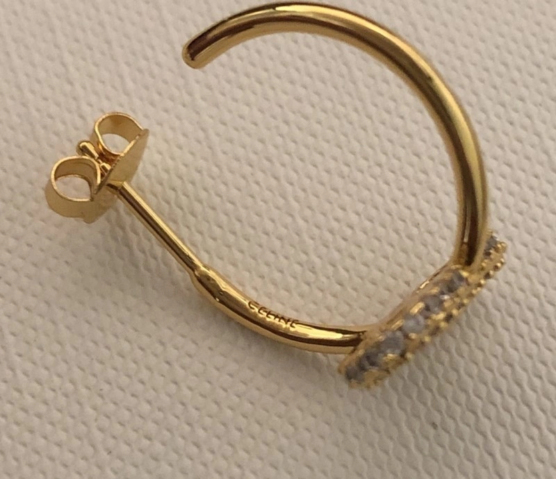 Functional Celine Earrings 217924