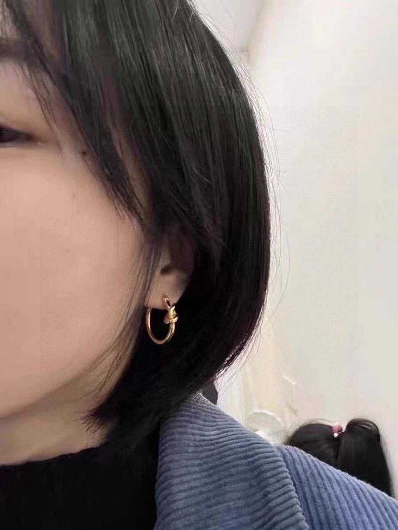 Celine Earrings Classic 217938