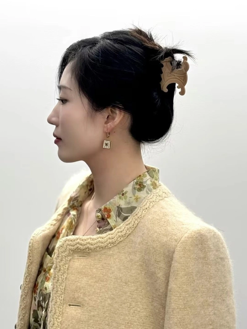 Celine Earrings Original 217909