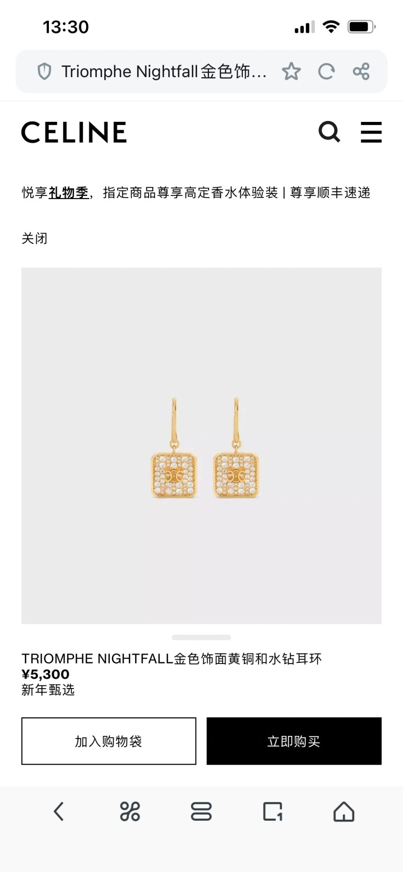 Celine Earrings Original 217909
