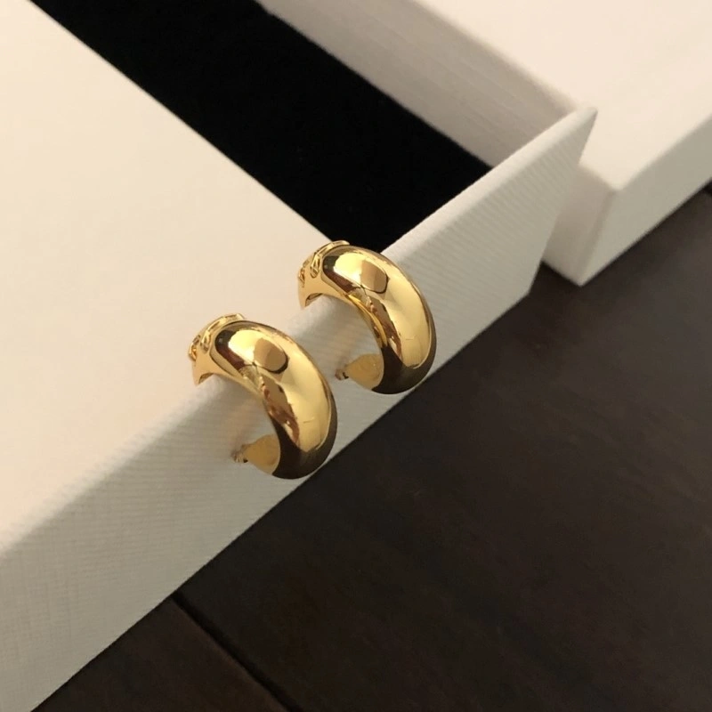 Celine Earrings Upgraded 217928