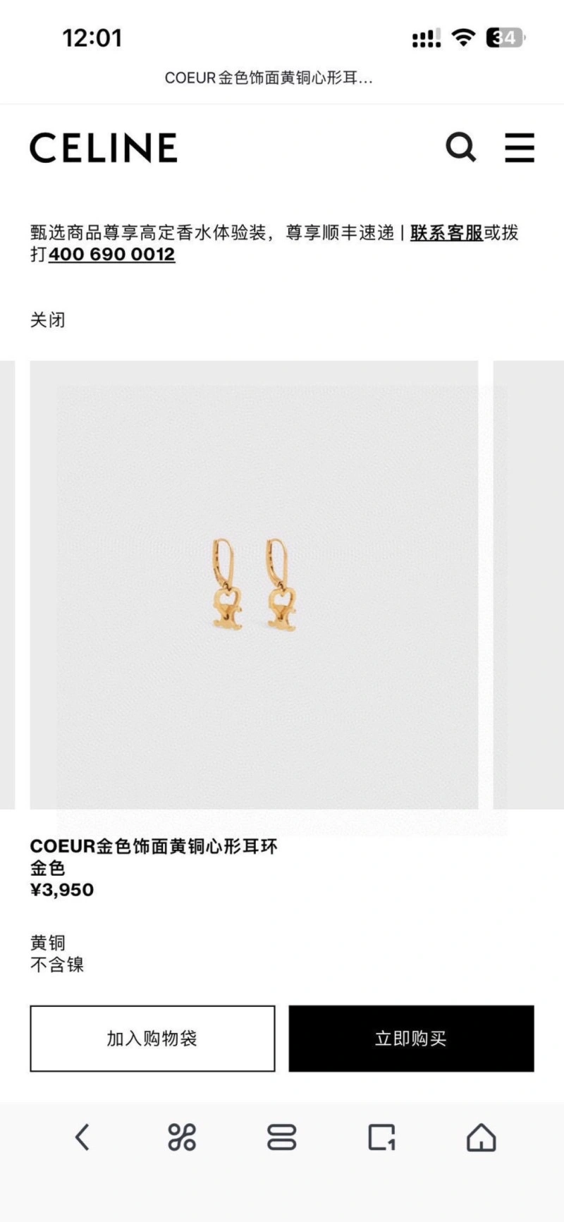 NewStyle Celine Earrings 217895