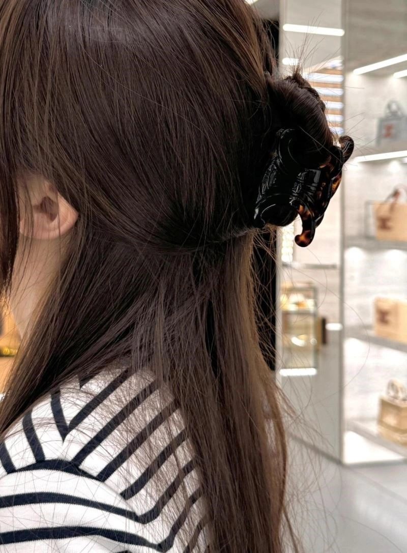 Lightweight Celine Hairpins 218054