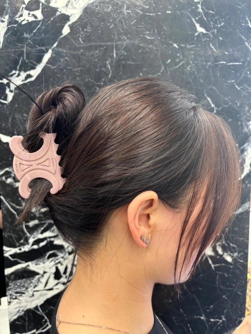 Lightweight Celine Hairpins 218054