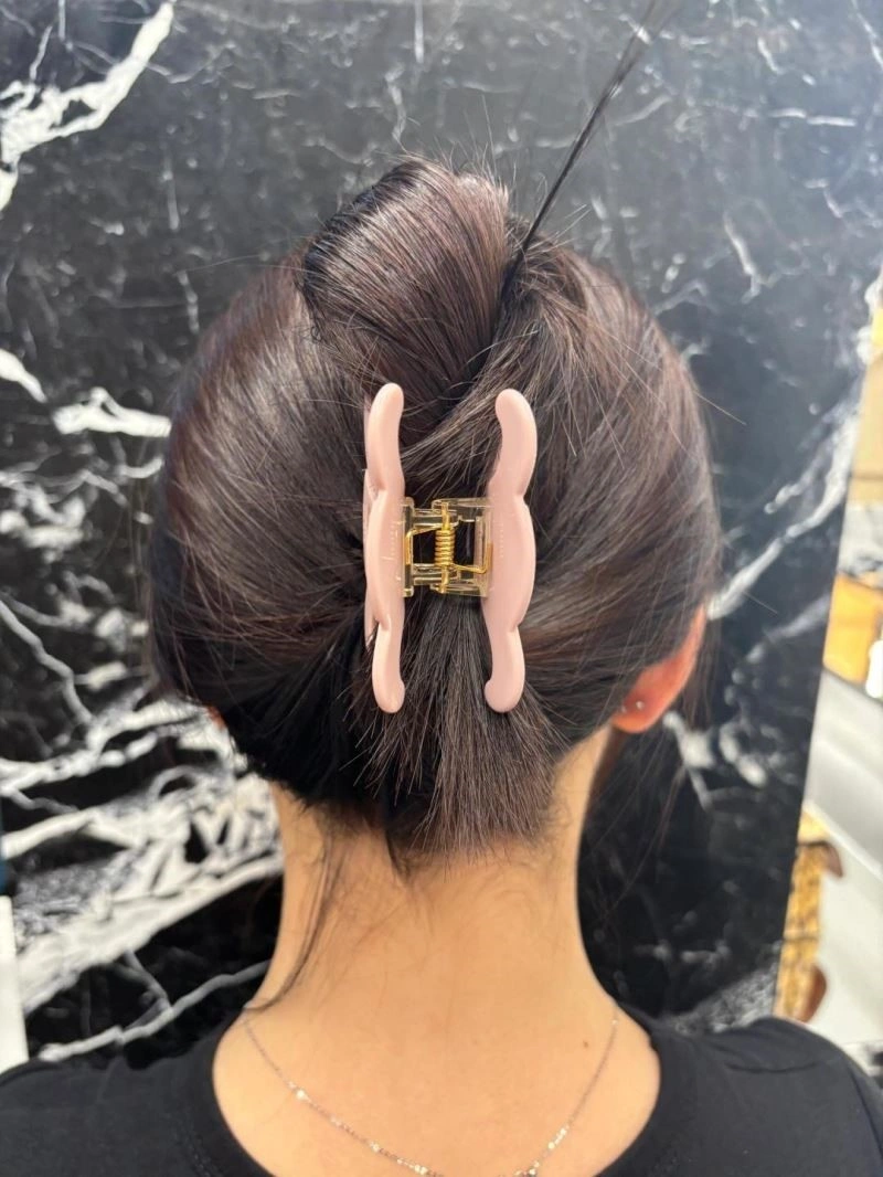 Lightweight Celine Hairpins 218054