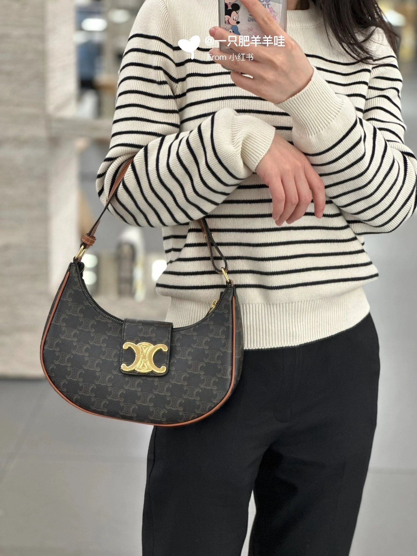 Celine Hobo Bags Elegant 78504