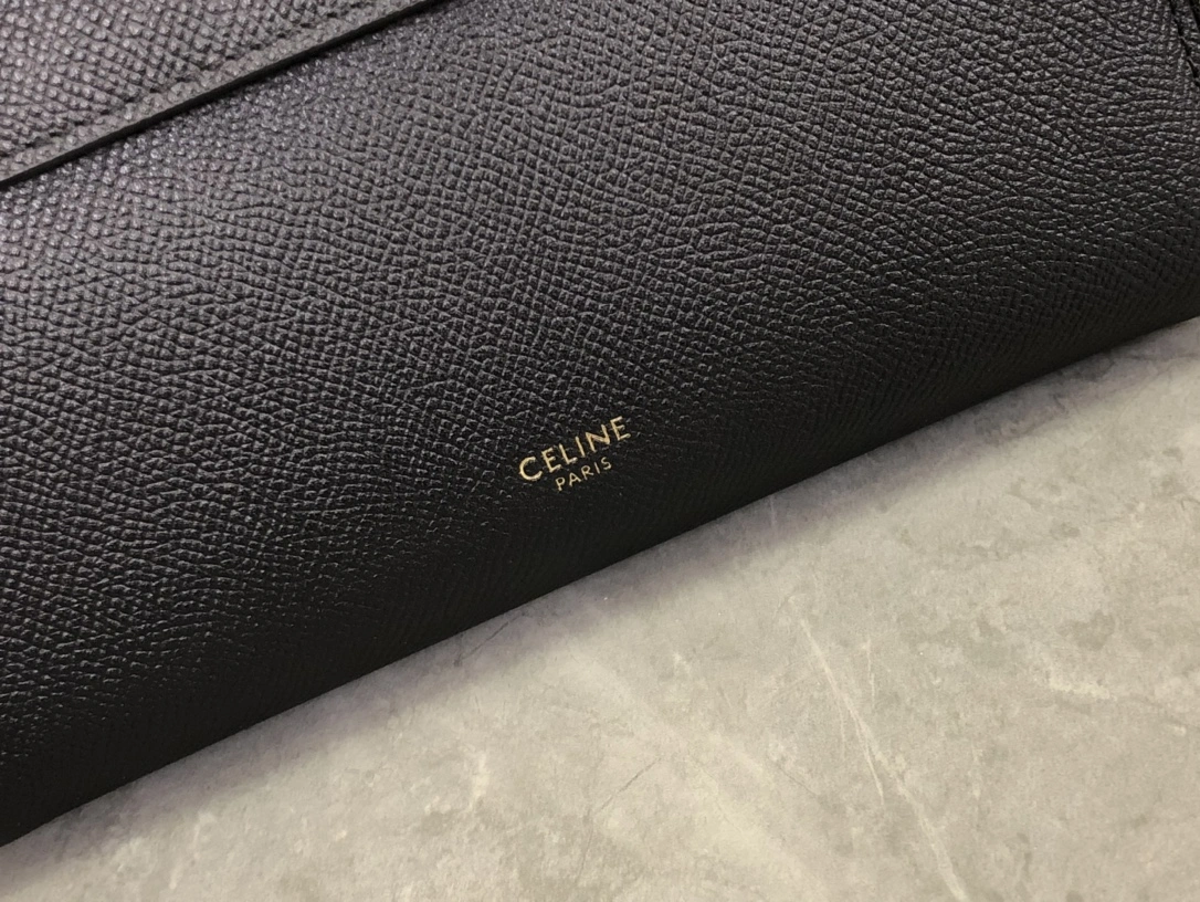 GoAnywhere Celine Nano Bags 94617