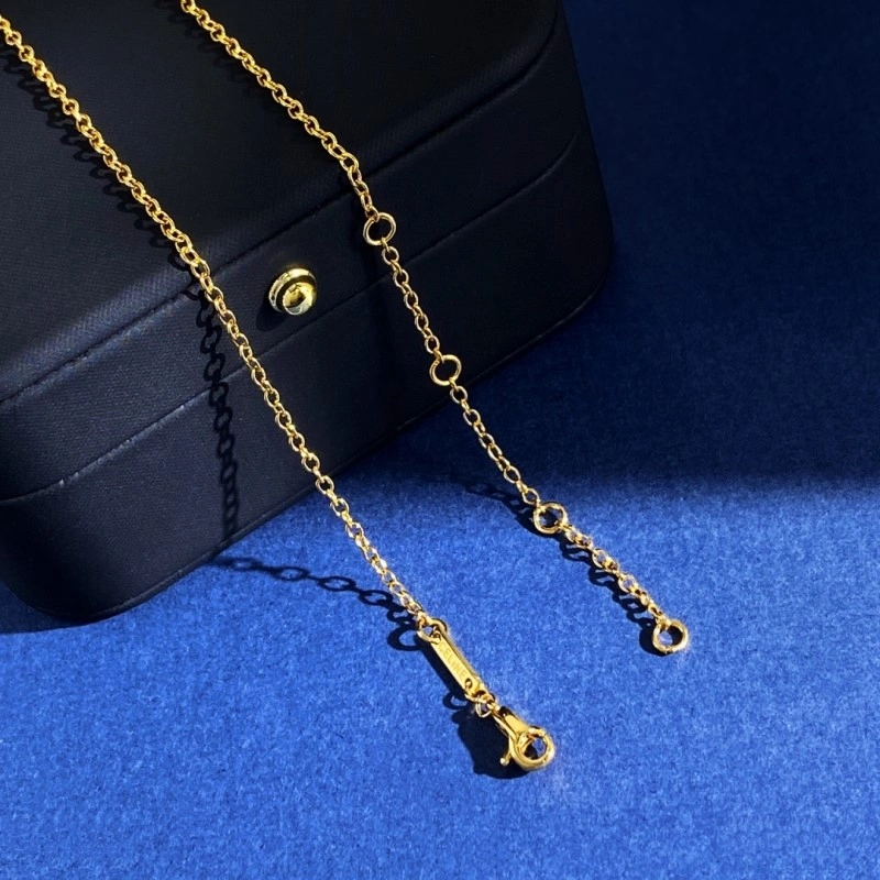 Functional Celine Necklaces 217966