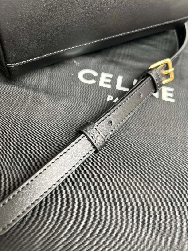 Supportive Celine Pillow Bags 77234