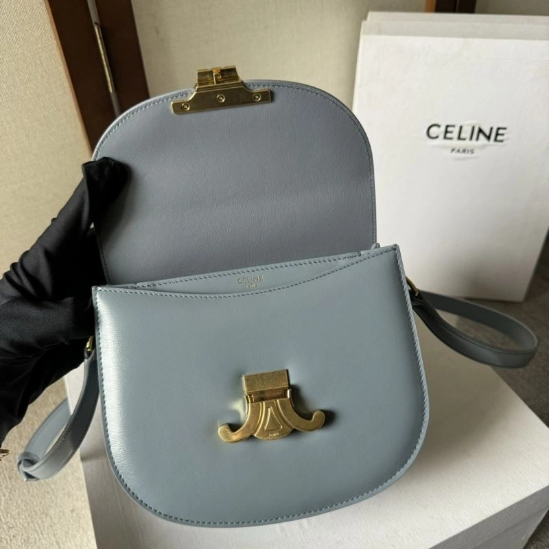 Sleek Celine Satchel Bags 60499