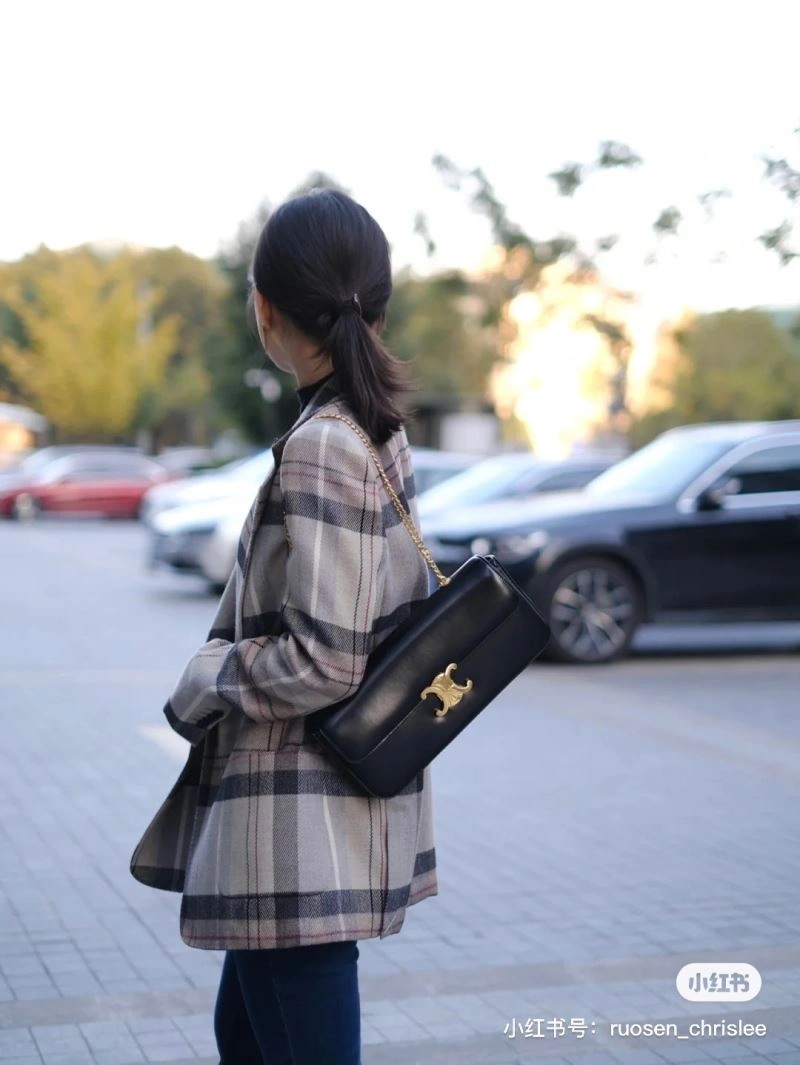 Celine Satchel Bags Chic 60377
