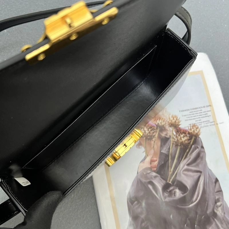 Cozy Celine Satchel Bags 84510